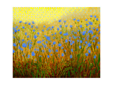 Buy Roadside Chickory at AllPosters.com