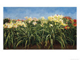 Buy Day Lillies, c.1992 at AllPosters.com