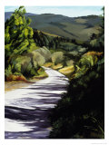 Buy Country Road in Tuscany at AllPosters.com