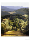Buy Path Near the Villa at AllPosters.com