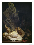 Buy Coquillages et Madreposes at AllPosters.com