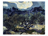 Olive Trees with the Alpilles in the Background