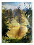 Buy The Pond at AllPosters.com