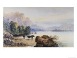 Buffalo Watering Giclee Print