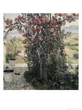 Buy Valley in Umbria at AllPosters.com