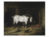 The White Horse
