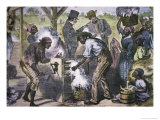 The First Cotton Gin
