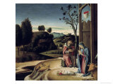 Buy Birth of Jesus, from the Pala Pesaro at AllPosters.com