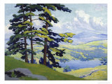 California Hills