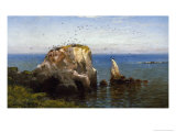 Rocks on the Sonoma Coast, California