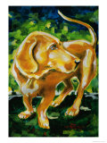 Buy Sigmund at AllPosters.com