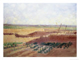 Crops