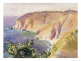 Coastal Overlook