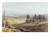 Country Landscape