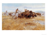 Buy Buffalo Hunt at AllPosters.com