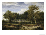 Buy Wooded Landscape Near Surrey at AllPosters.com