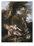 Buy Narcissus at AllPosters.com