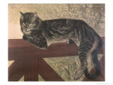 Cat on Balustrade Giclee Print