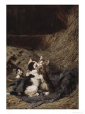 Buy Kittens in the Hay at AllPosters.com