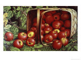 Buy The Basket of Apples at AllPosters.com
