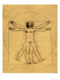Proportions of the Human Figure