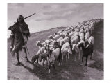 Buy Navajo Sheepherder at AllPosters.com
