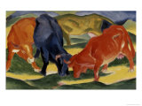 Fighting Cows