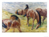 Horses Out to Pasture