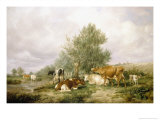 In Canterbury Meadows
