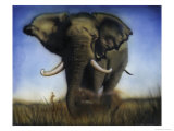 Elephant, c.1996