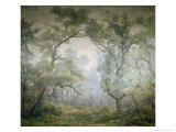 The Willows