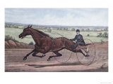 Buy Queen of the Turf Maud S., Driven by W.W. Bair at AllPosters.com