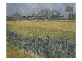 View of Arles with Irises