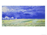 Field under a Stormy Sky