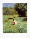 Buy Waldwiese at AllPosters.com