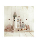 Coast Collection