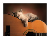 Sleeping Soundly