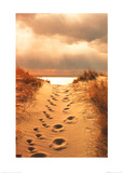 Footprints in the Sand