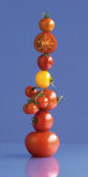 Buy Mambo at AllPosters.com