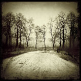 Buy Tracks into Field at AllPosters.com