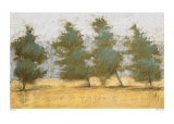 Buy Afternoon Haze at AllPosters.com