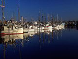 Buy Fishing Boats in Port, Ballard, WA at AllPosters.com
