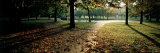 Buy Sunlight Through Eden Park, Cincinnati, OH at AllPosters.com