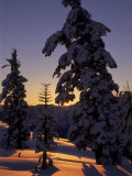 Buy Sunrise Over Lake Tahoe, CA at AllPosters.com
