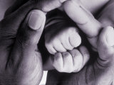 Buy Father's Hands Holding Baby's Hands at AllPosters.com