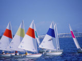 Buy Boats Set Up for Race, FL at AllPosters.com