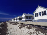 Buy Line of Ocean Front Cottages, Cape Cod at AllPosters.com