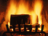 Log Burning in Fireplace