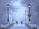 Winnipeg Manitoba, Canada Winter Scenes