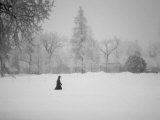 Winnipeg Manitoba, Canada Winter Scenes